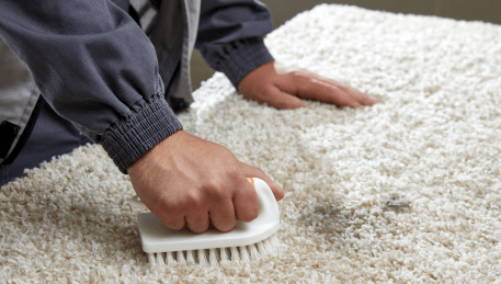 Professional Rug Cleaning St Leonards