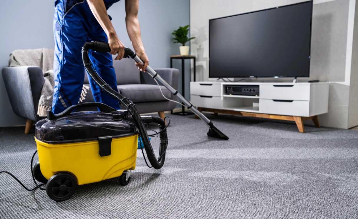 Extract Rug Cleaning St Leonards Contact Office